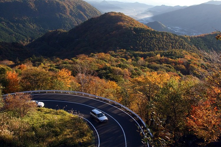 Autumn leaves on Iroha-zaka Road, Tochigi Prefecture