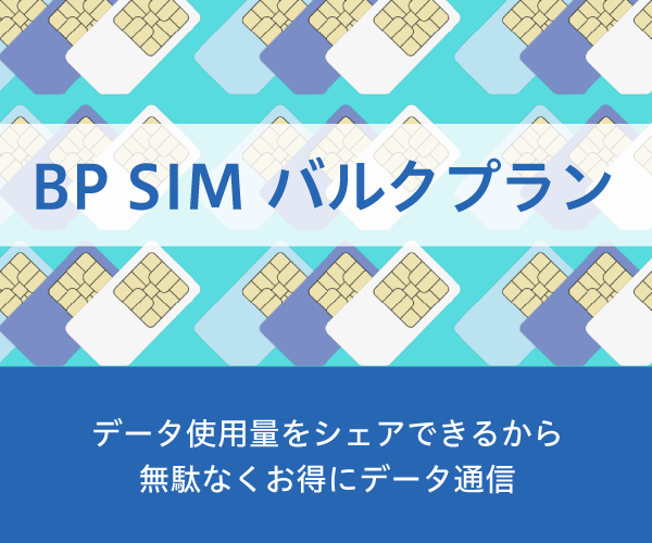 法人向けデータ専用SIMサービス　BP SIM